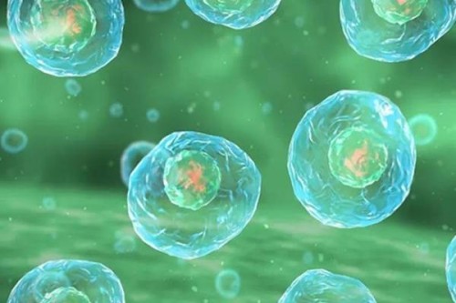 孕期口腔潰瘍是缺乏什么,懷孕上火爛嘴是男孩還是女孩